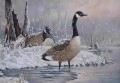 Vögel in schneit See